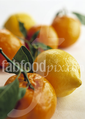 Oranges and Lemons photo
