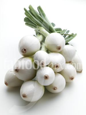 Cont Spring Onion photo