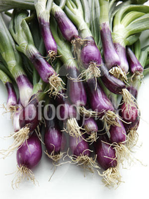 Red Spring Onions photo