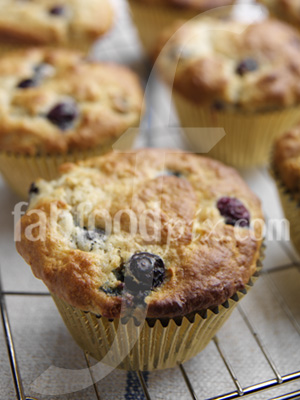 Blueberry Muffin photo