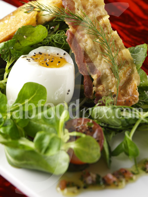 bacon &egg photo