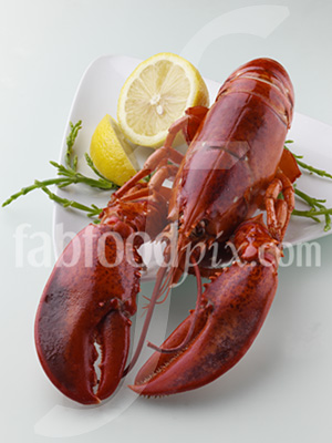 Lobster photo