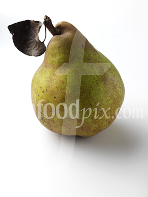 Comice Pear photo