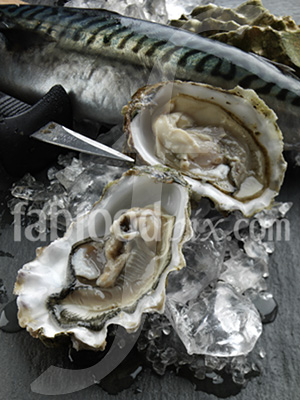 Mackerel oysters photo