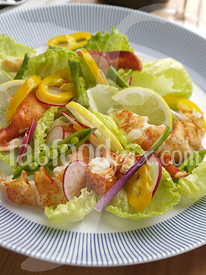 Lobster salad photo