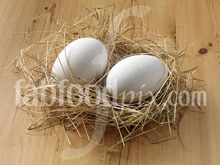 Goose eggs photo