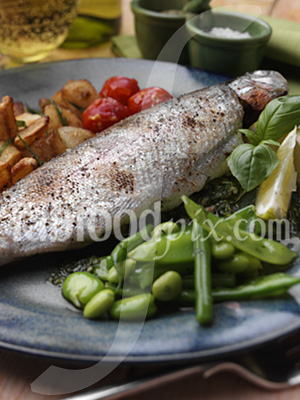 broiled trout photo