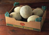 Cantaloupe Melon Box photo