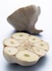 Spanish Garlic (cut) photo