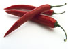 Red Chillies photo