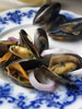 Scottish Mussels photo