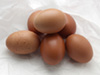 Free range Eggs photo