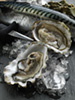 Mackerel oysters photo