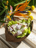 Tuna Fish salad photo