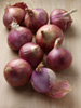 Pink curry onions photo