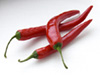 Red chillies photo