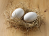 Goose eggs photo