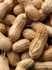 Whole peanuts photo