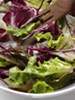 Radicchio salad photo