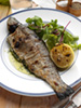 broiled trout photo