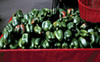 Green Peppers photo