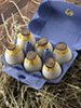 truffle eggs photo