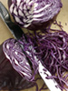 Red cabbage photo