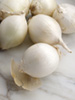 white onions photo